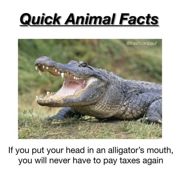 funnymemes524_026