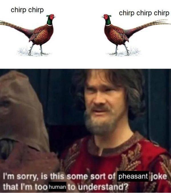 funnymemes525_014
