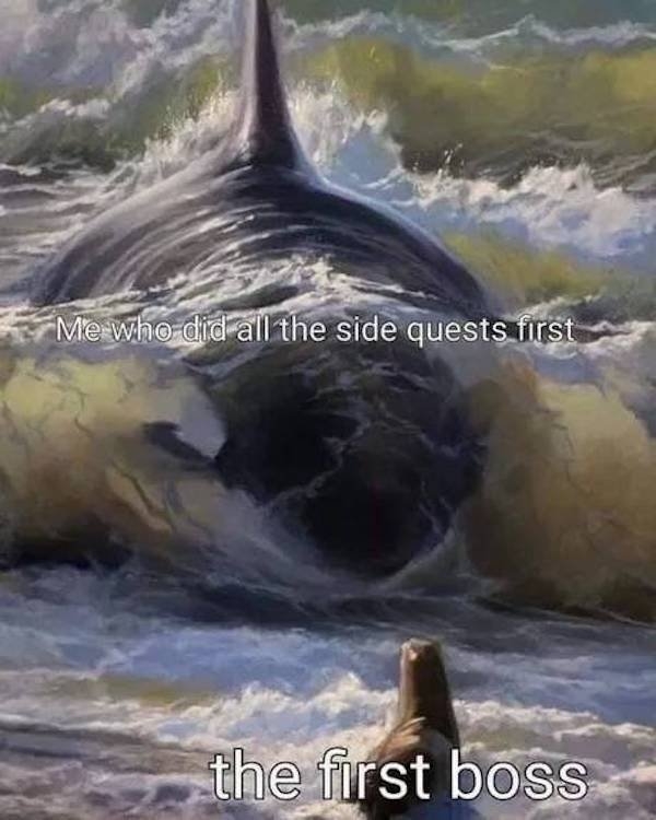 funnymemes525_029