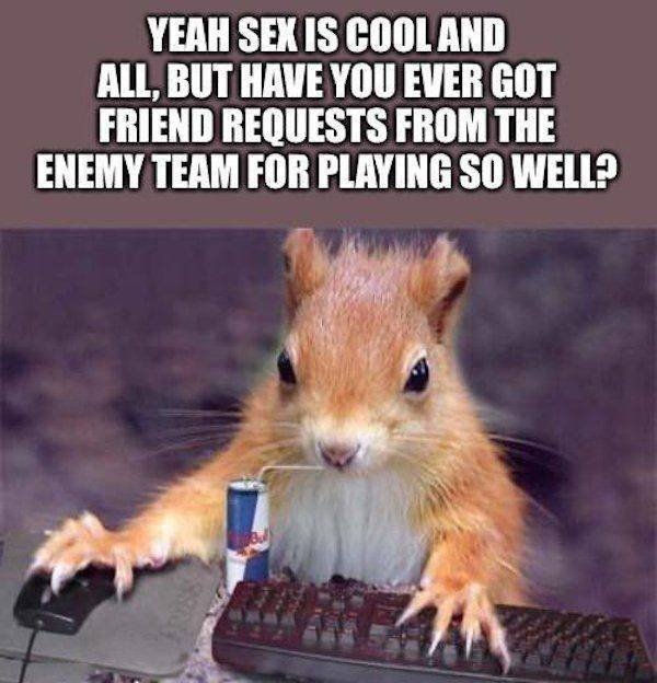 funnymemes526_031
