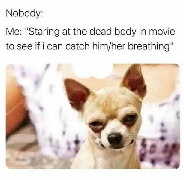 funnymemes526_037