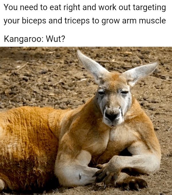 funnymemes527_021