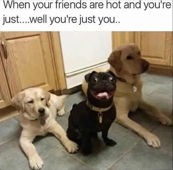 funnymemes528_003