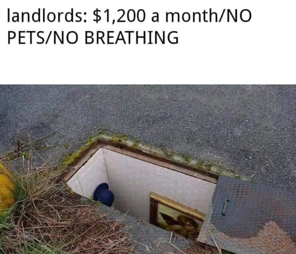 funnymemes529_006
