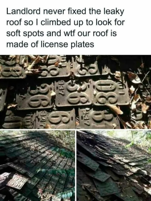 funnymemes529_014