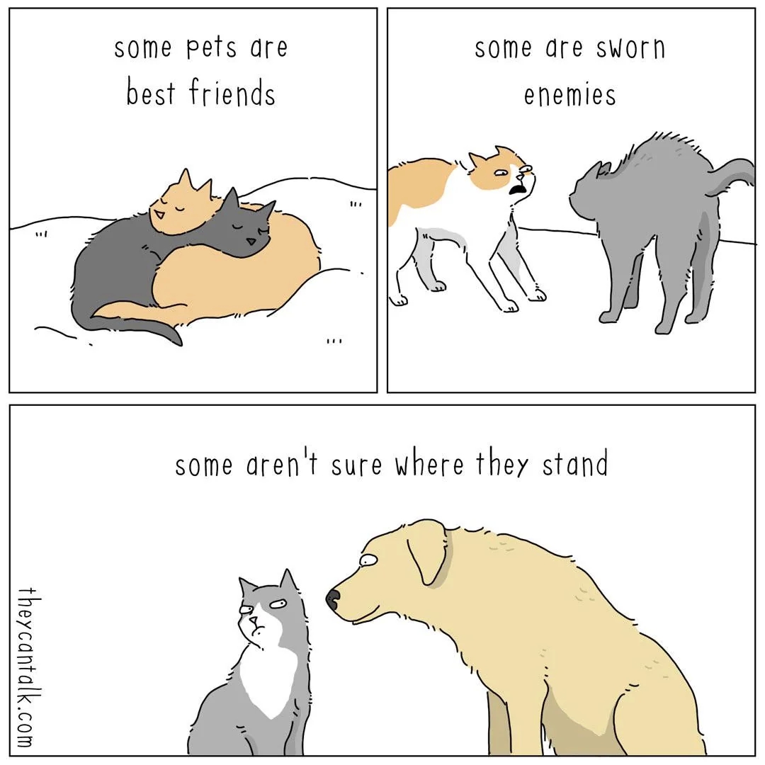 funnymemes529_028