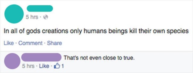 funnytweets2_026