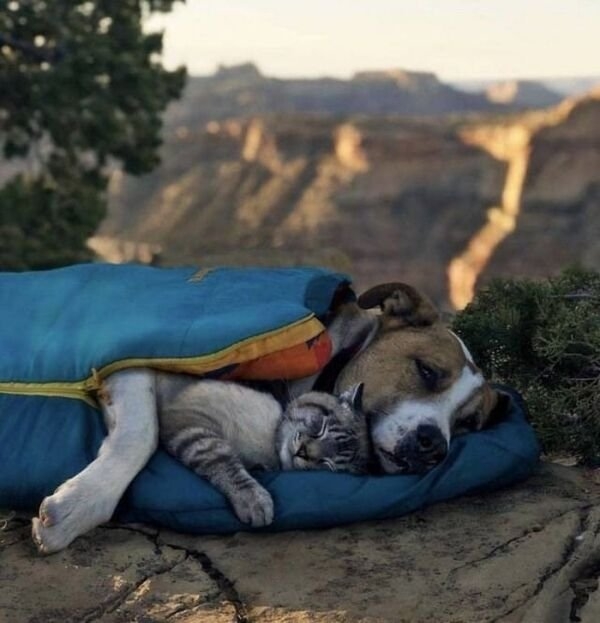 greatoutdoors_009