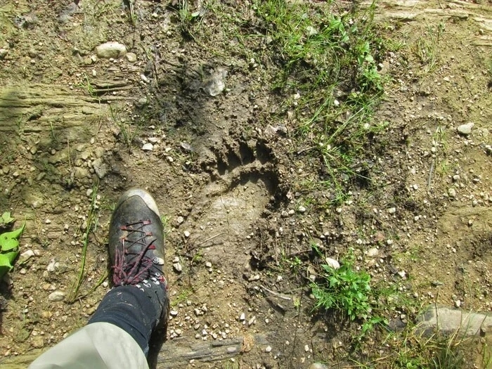 hiking_003