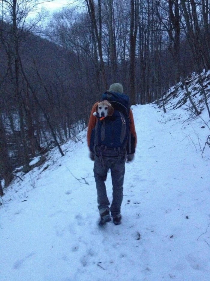 hiking_007