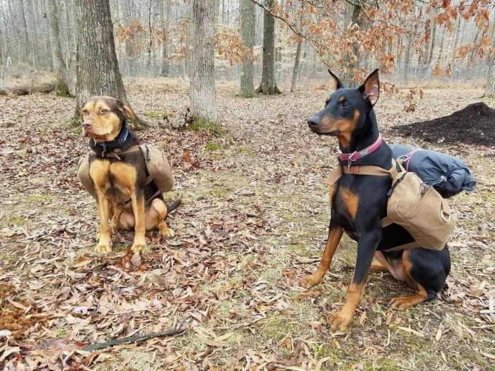 hiking_008