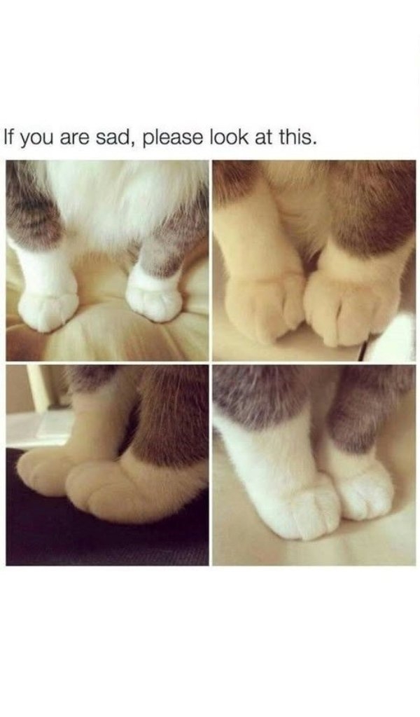 humanityrestored3_003