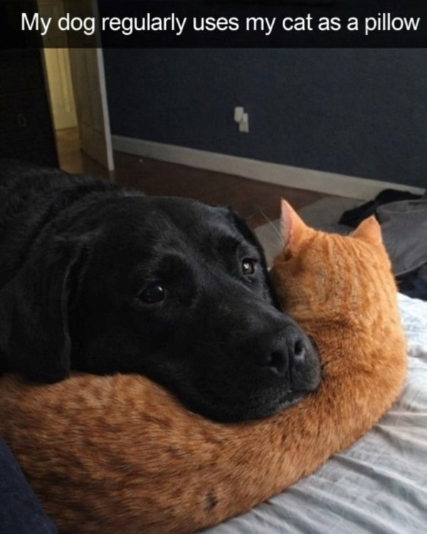 humanityrestored3_005