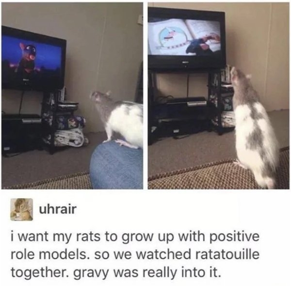 humanityrestored3_009