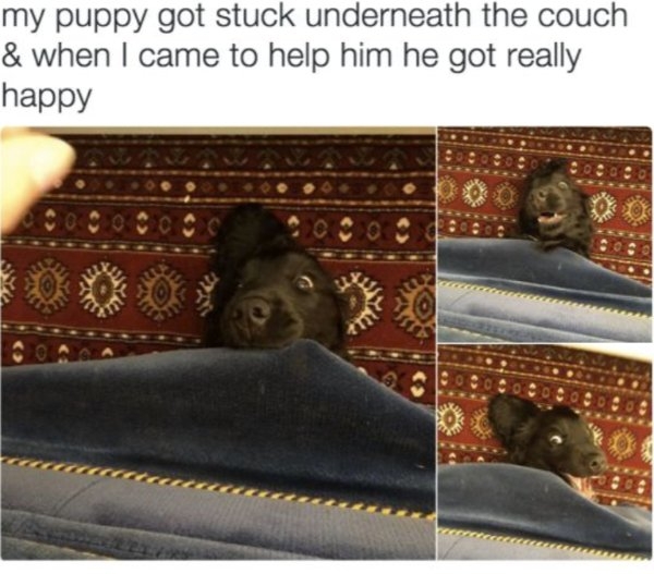 humanityrestored3_010