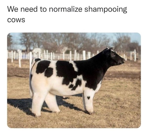 humanityrestored3_015