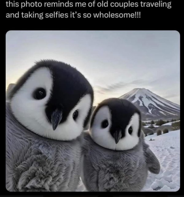 humanityrestored3_016