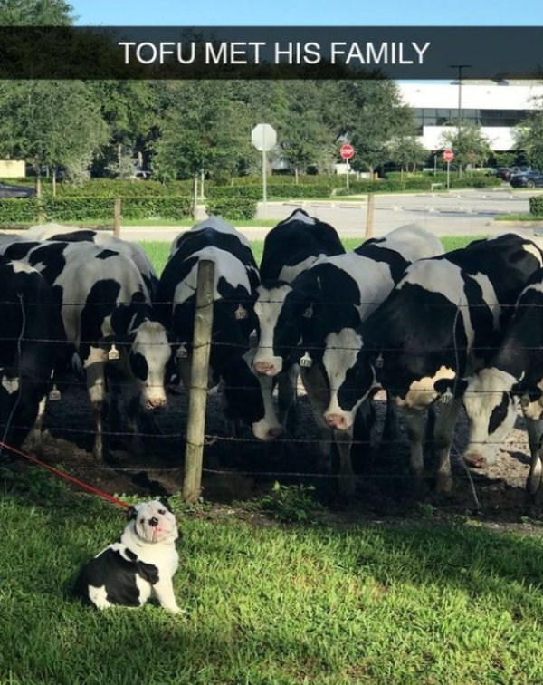 humanityrestored3_019