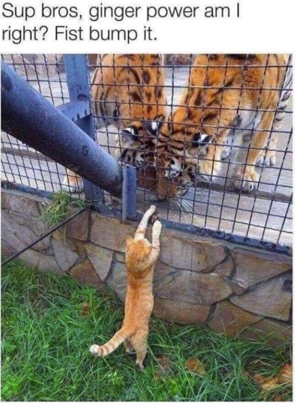 humanityrestored3_020