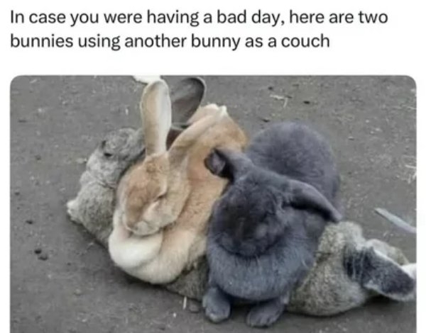 humanityrestored3_023