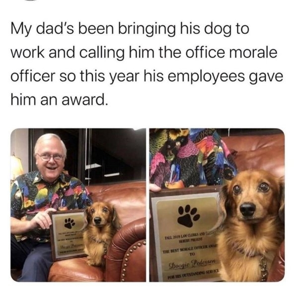 humanityrestored3_026