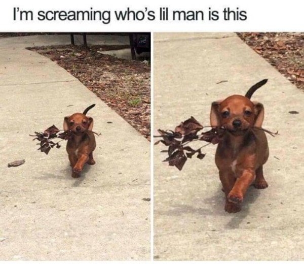 humanityrestored3_027