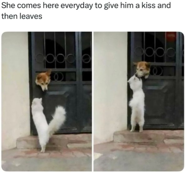 humanityrestored3_030