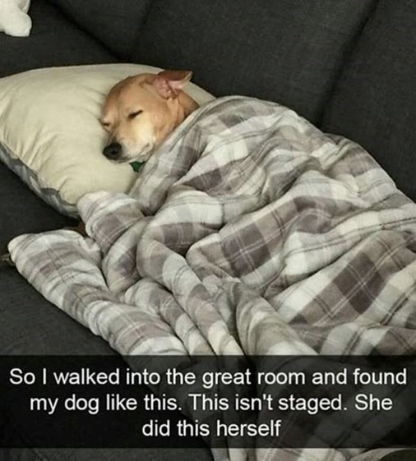 humanityrestored3_037