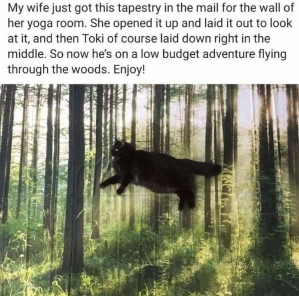 humanityrestored3_038