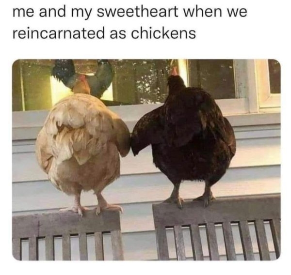 humanityrestored3_039