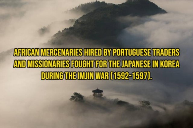 interestingfacts355_009