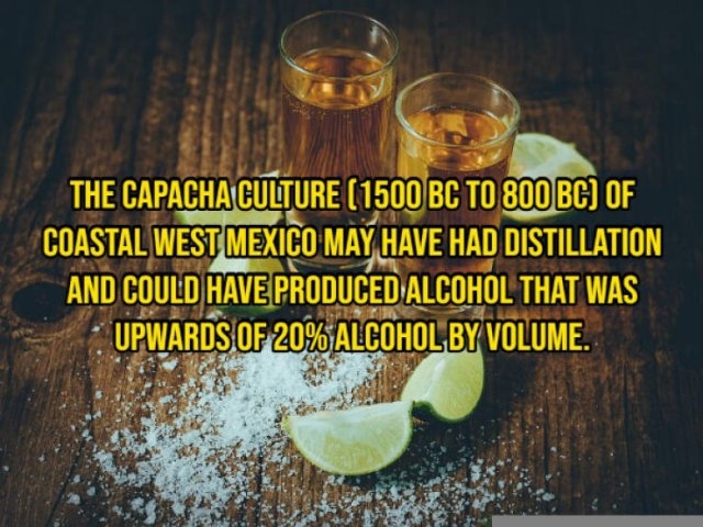 interestingfacts355_010