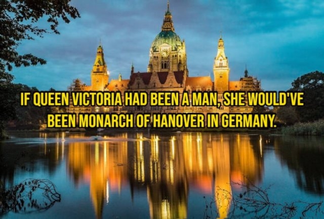 interestingfacts355_011
