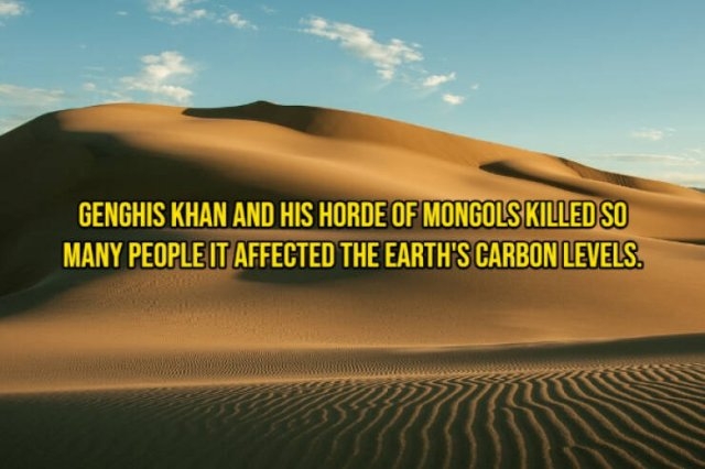 interestingfacts355_013