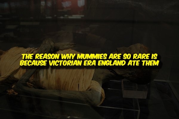 interestingfacts356_001