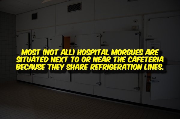 interestingfacts356_004