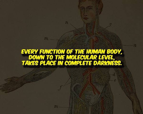 interestingfacts356_008