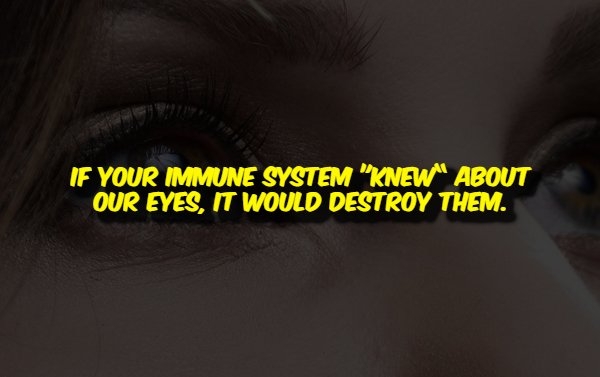 interestingfacts356_009