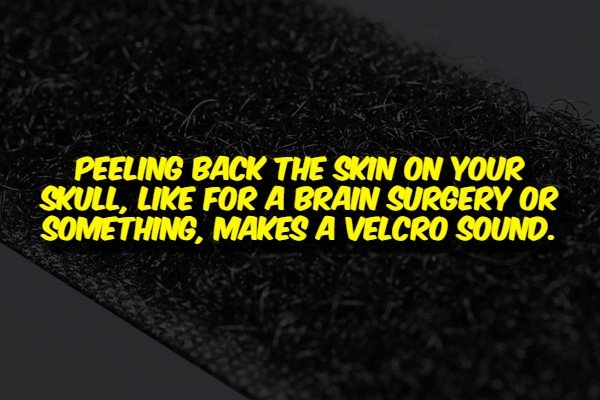 interestingfacts356_010