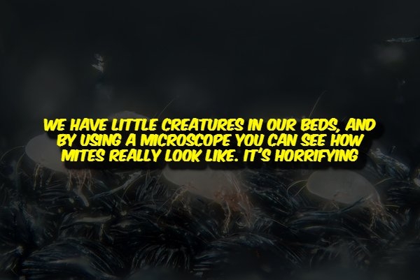 interestingfacts356_011
