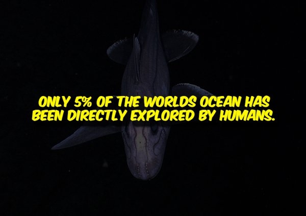 interestingfacts356_012