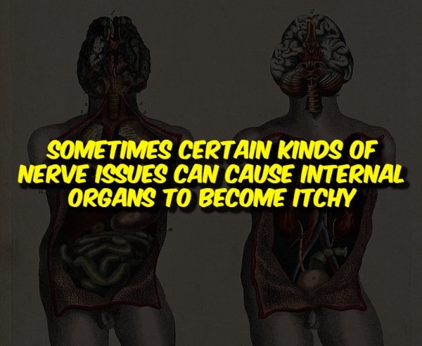 interestingfacts356_014