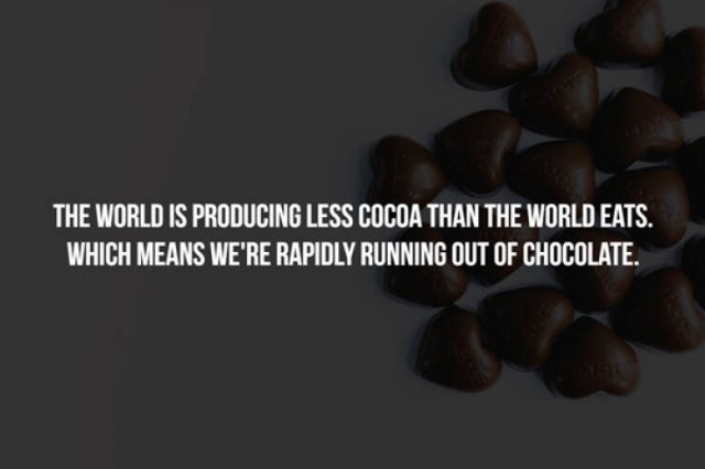 interestingfacts357_004