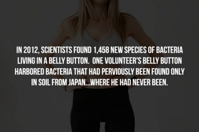 interestingfacts357_009