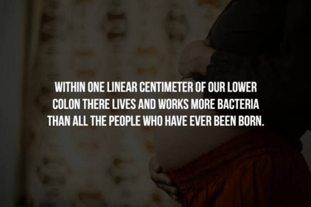 interestingfacts357_010