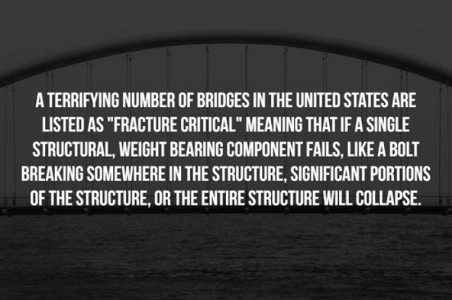 interestingfacts357_012