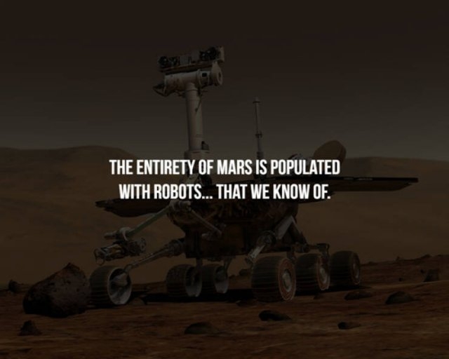 interestingfacts357_014