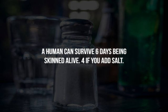 interestingfacts357_015