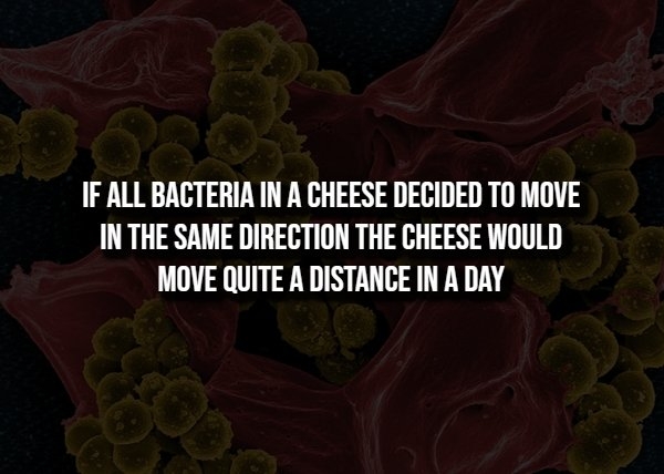 interestingfacts360_009