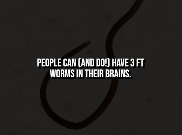 interestingfacts360_010